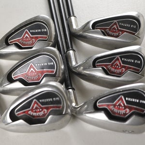 Callaway Big Bertha 2006 6-PW,SW Iron Set Regular Flex 75g RH Graphite #227216