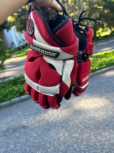 Warrior Vector Gloves (well used)