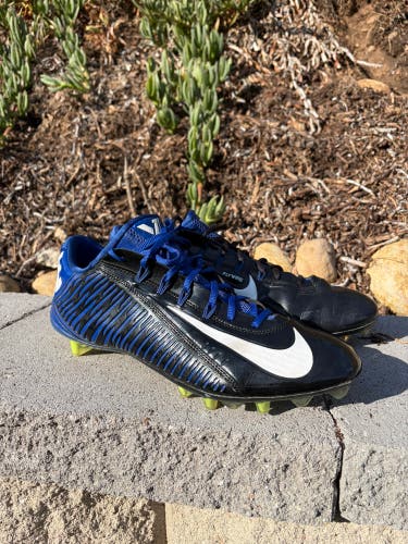 Men's Size 13.0 (W 14.0) Nike VAPOR CARBON ELITE (Used)