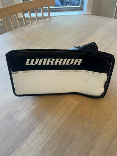 2017 Warrior Ritual G3 Regular (Used)