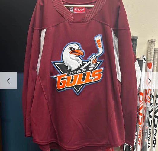 San Diego Gulls Jersey (Used)