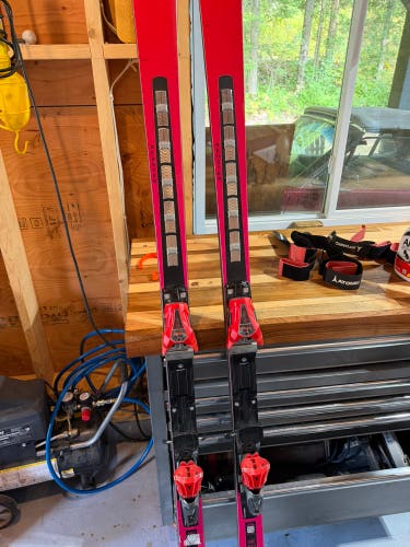 Atomic 193 cm Skis (Used)