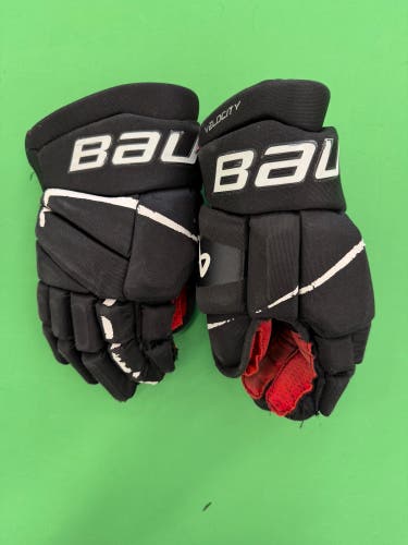 Bauer Vapor X Velocity Gloves | 13"