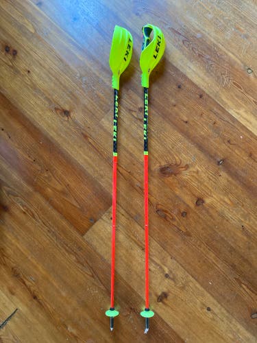 48in (120cm) Leki Venom SL Racing Ski Poles (Used)