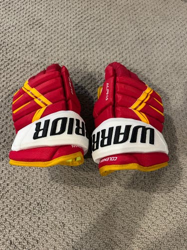 13’ Warrior Alpha pro stock gloves very lightly used