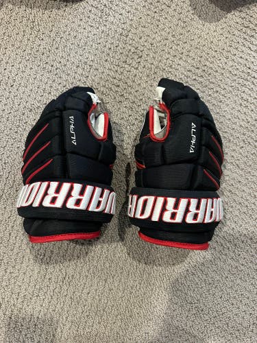 13’ Warrior Alpha pro stock gloves very lightly used