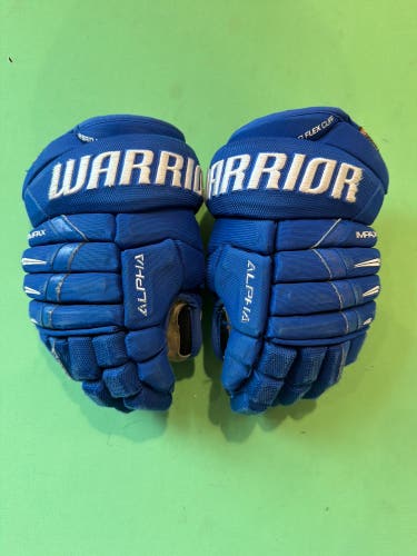 Blue Junior Warrior Alpha DX Pro Gloves 11" (Used)