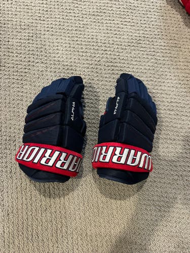 13’ Warrior Alpha QX3 pro stock gloves very lightly used