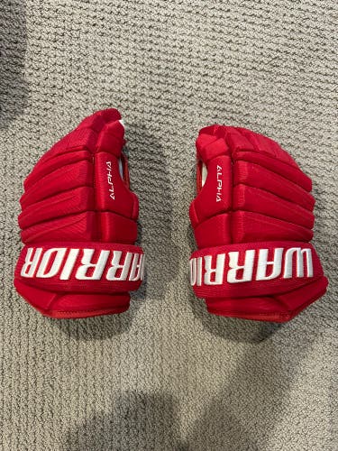 13’ Warrior Alpha pro stock gloves very lightly used