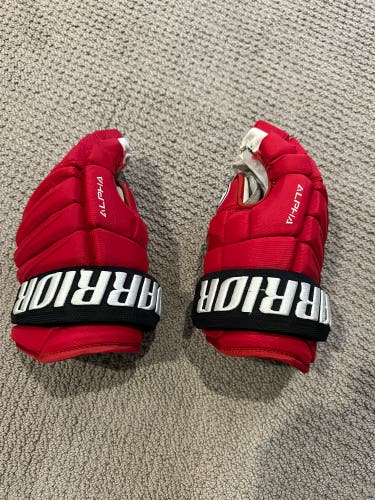13’ Warrior Alpha pro stock gloves very lightly used