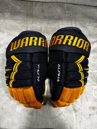 Blue Junior Warrior Alpha DX3 Gloves 10" (Used)