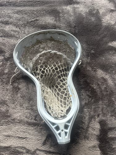 StringKing Mark 2D Head (Used)