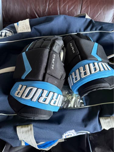 Jacksonville Icemen all star game Warrior Alpha Gloves 14" Pro Stock (Used) echl