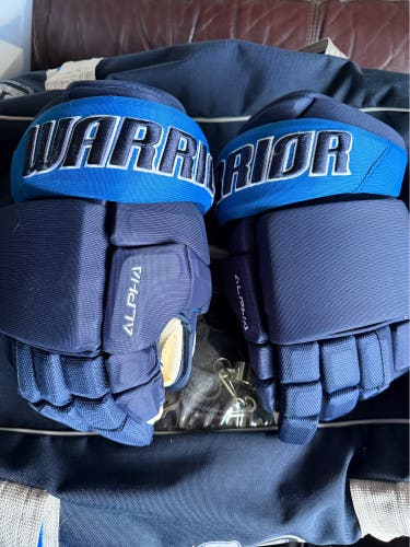 Jacksonville Icemen Warrior Alpha Gloves 13" Pro Stock (Used)