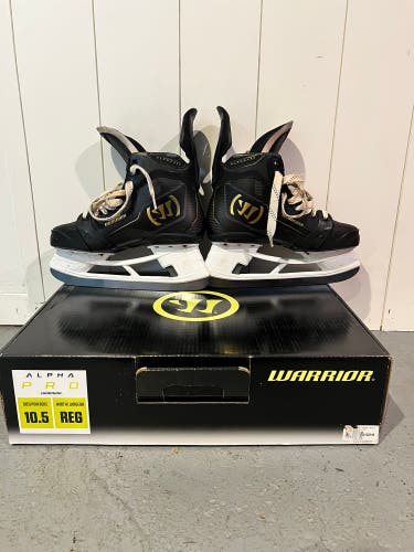Black an Gold 2026 Warrior Alpha Pro Hockey Skates Regular Width 10.5 (Used)
