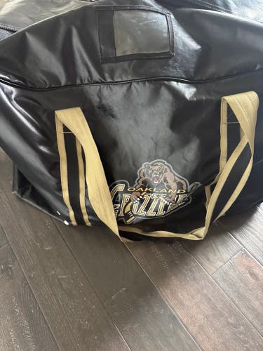 CCM Bag (Used)