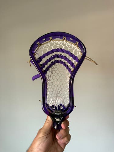 Professionally Strung Purple ECD Ion(New)
