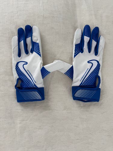 Large Nike Batting Gloves (New)