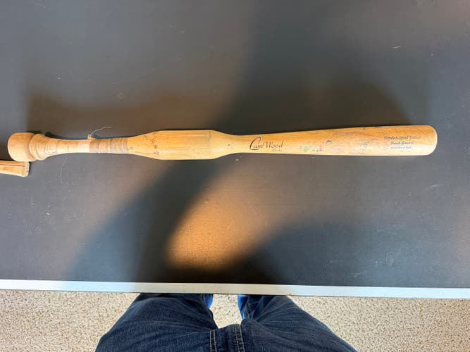 CamWood Trainer Bat other 31" (Used)