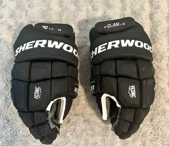 Sher-Wood Element One Gloves 12" (Used)