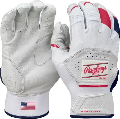 New Workhorse BG USA MD 11873-RAWWH25BGUSM