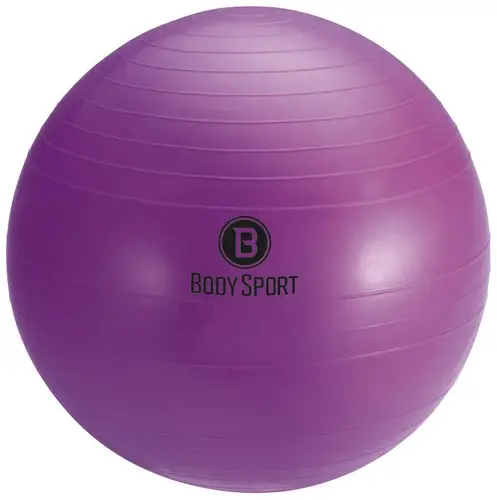 New Fitness Ball 45 CM PPL 11873-BSPBDS10045CM