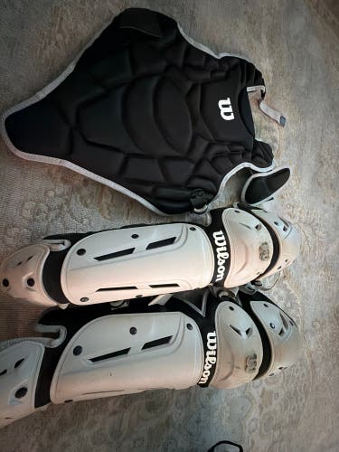 Wilson Catcher's Set (Used)