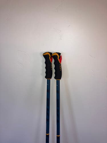 52in (130cm) Leki Ski Poles (Used)