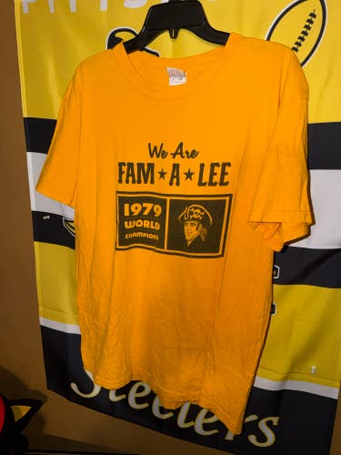Fruit Of The Loom MLB Baseball Pittsburgh Pirates 1979 Champions Shirt Vintage Used