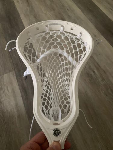 Warrior Evo QX2-D Head (New)