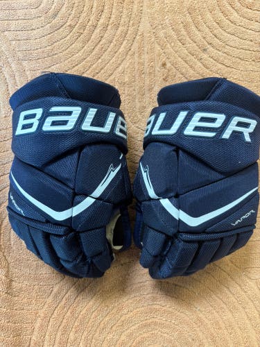 Blue Bauer Vapor Flypro Gloves 12" (Used)