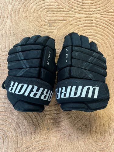 Black Senior Warrior Alpha DX3 Gloves 15" (Used)