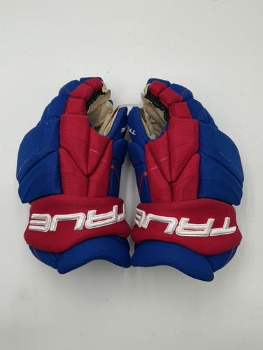 (Used) Team USA NTDP 15” True Catalyst 9X Pro Stock Gloves