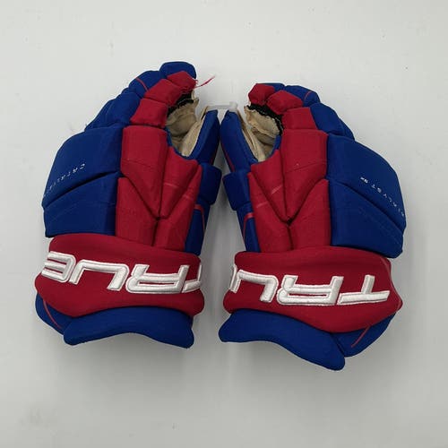 (Used) Team USA NTDP 13” True Catalyst 9X Pro Stock Gloves