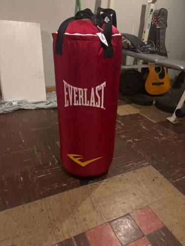 Everlast (Used)