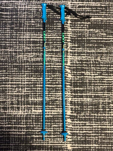 36in (90cm) Leki World Cup Lite GS Ski Poles (Used)