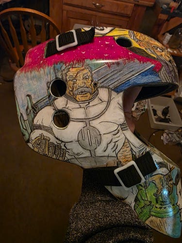 Senior Medium Goalie Mask (Used)