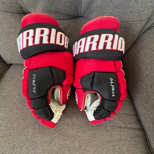 Warrior Alpha DX Pro Gloves 14" (Used)