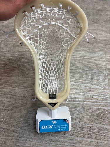 ECD Weapon X 2.0 Head (New)