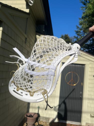 Gait Torque 3 Head (New)