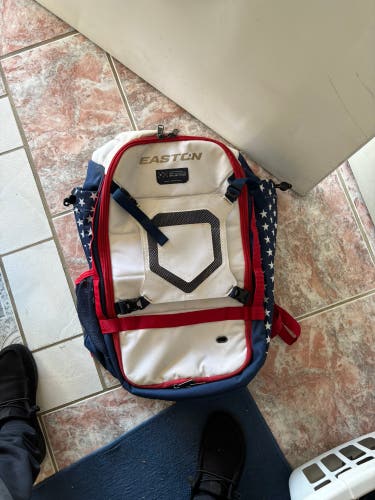 Easton (New) baseball softball bag holds 4 bats
