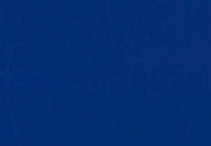 Blue Padskinz