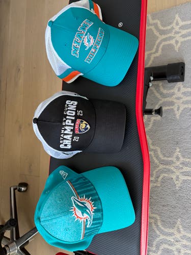 Miami Dolphins Florida Panthers adjustable Hat Bundle
