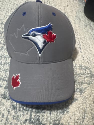 Toronto Blue Jays 47 Brand Hat