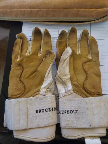 Bader Batting Gloves (Used)