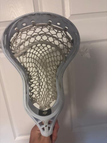 StringKing Mark 2D Head (Used)