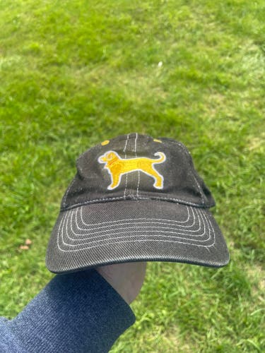 Black Dog Boston Bruins Velcro baseball hat