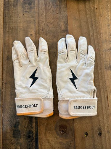 Bruce Bolt Premium Pro Series Batting Gloves, Premium Pro Short Cuff (Used)