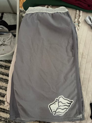 St. Leo’s (D2) Florida Men's Shorts Zima Gear (Used)