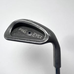 Ping Eye 2 + Single 9 Iron Black Dot KT-Shaft Stiff Steel Mens RH